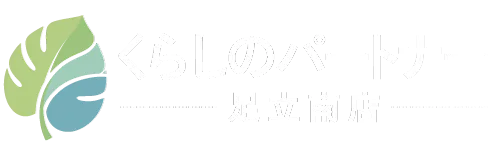 足立区で活動する私たちは、通院同行や家事代行などの介護サポートでご高齢の方をお手伝いしています。